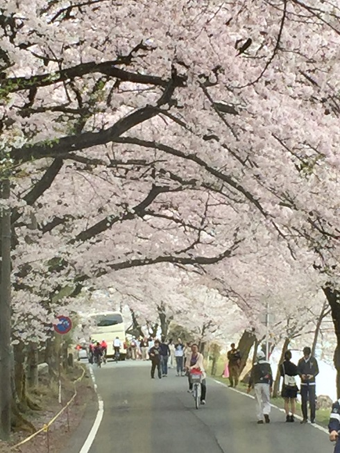 b0186959_1619087.jpg
