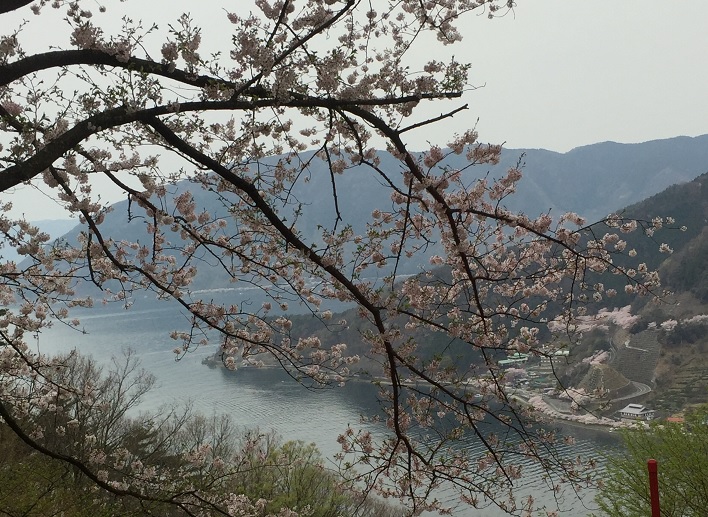 b0186959_1619889.jpg