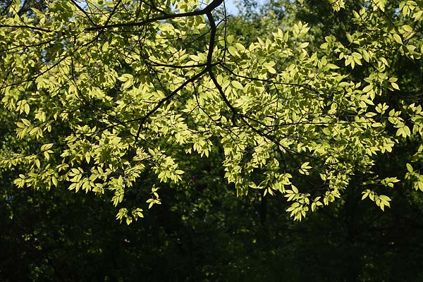 c0043361_23272418.jpg