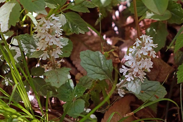 c0043361_2327243.jpg