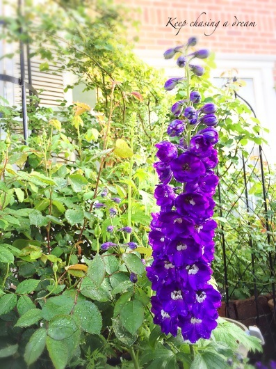 c0369367_09540147.jpg