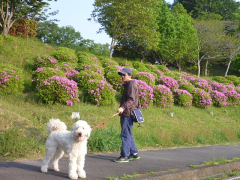 e0161972_9201343.jpg