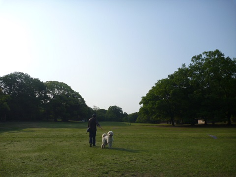 e0161972_946514.jpg