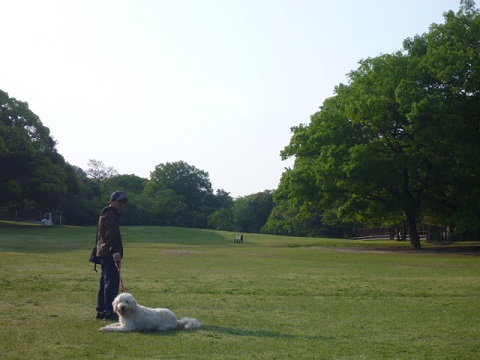 e0161972_9473928.jpg