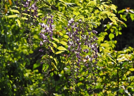 e0264374_21100438.jpg