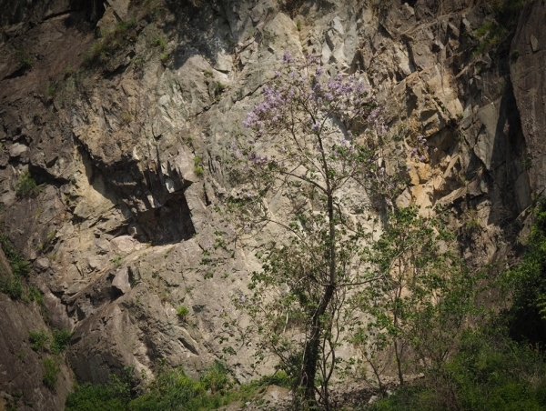 e0264374_21105498.jpg