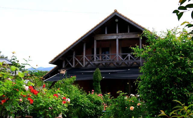 d0126577_182448.jpg