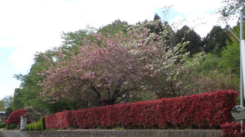 a0338094_02050422.jpg