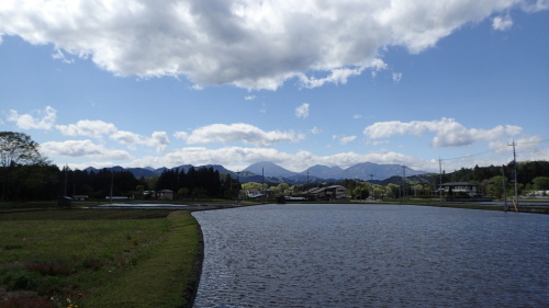 a0338094_02121061.jpg