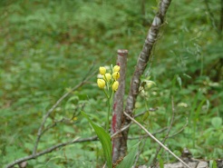 b0061798_845327.jpg