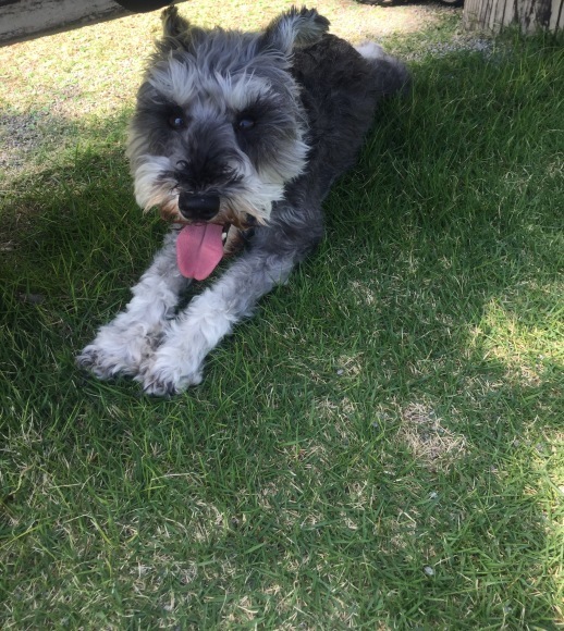 b0188998_20573151.jpeg