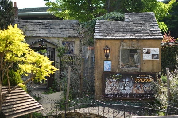 b0188998_21365831.jpg