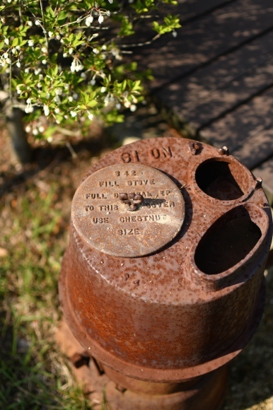 b0188998_21391997.jpg