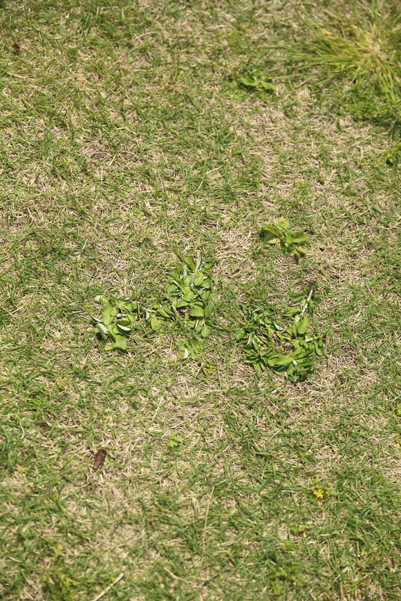 b0275998_11263229.jpg