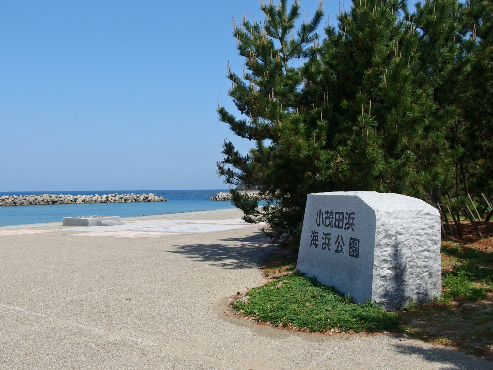 b0165802_7381569.jpg
