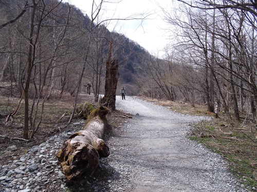 c0017802_1322641.jpg