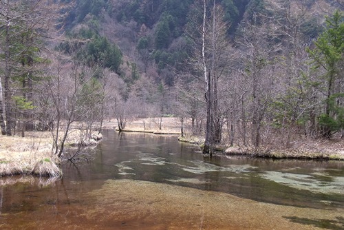 c0017802_1341467.jpg