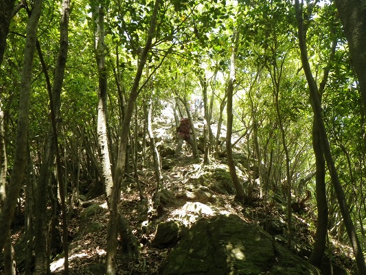 f0187402_14152314.jpg