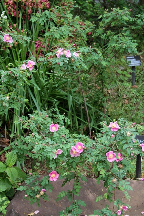 d0166303_1351954.jpg