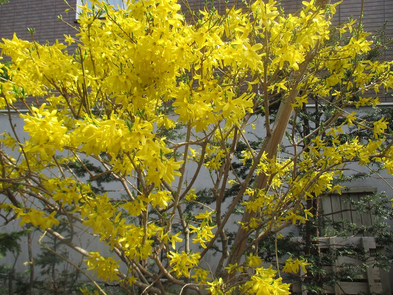 f0202703_22124519.jpg