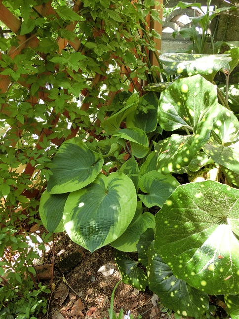 e0234004_1742171.jpg