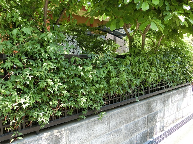 e0234004_17422682.jpg