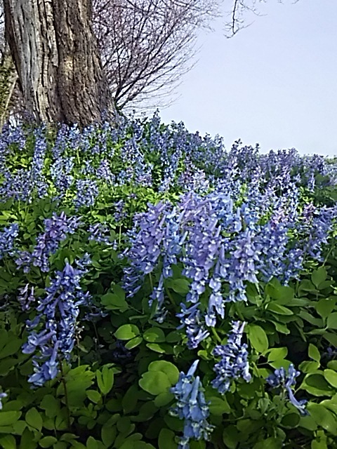 f0316507_14503722.jpg