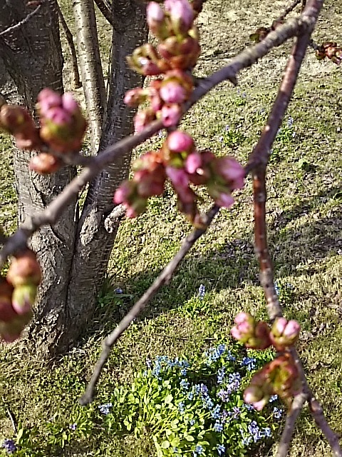 f0316507_14504913.jpg