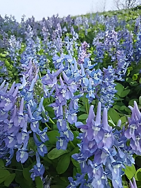 f0316507_21013562.jpg