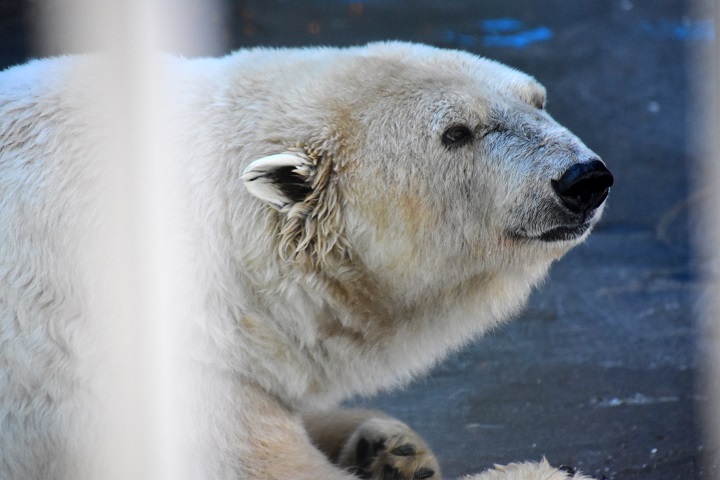 a0151913_22132169.jpg