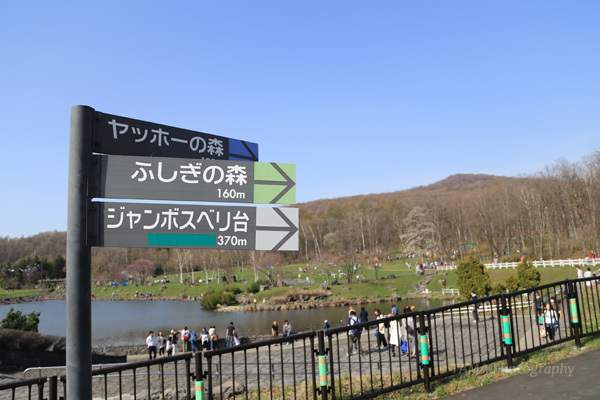 c0024729_20220918.jpg