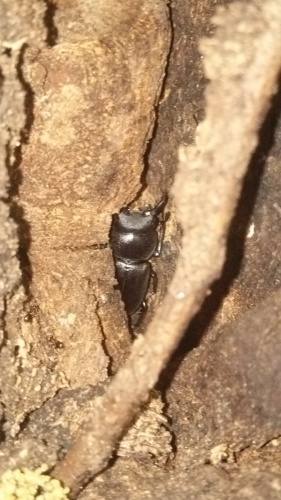 c0337631_16022972.jpg