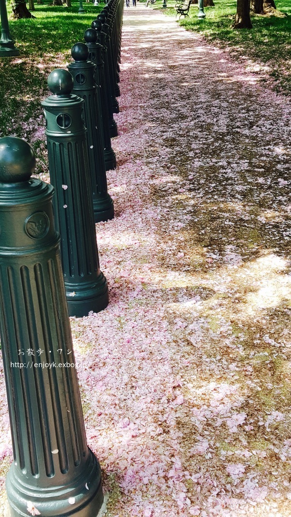 d0269832_12370085.jpeg