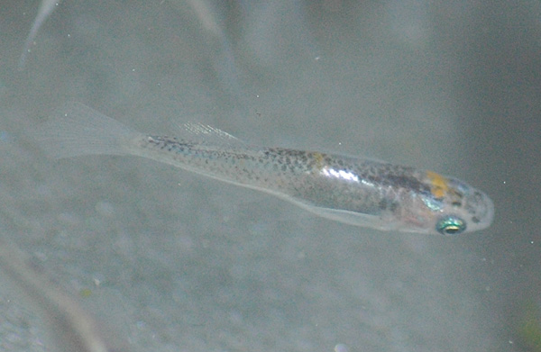 e0097534_16102343.jpg