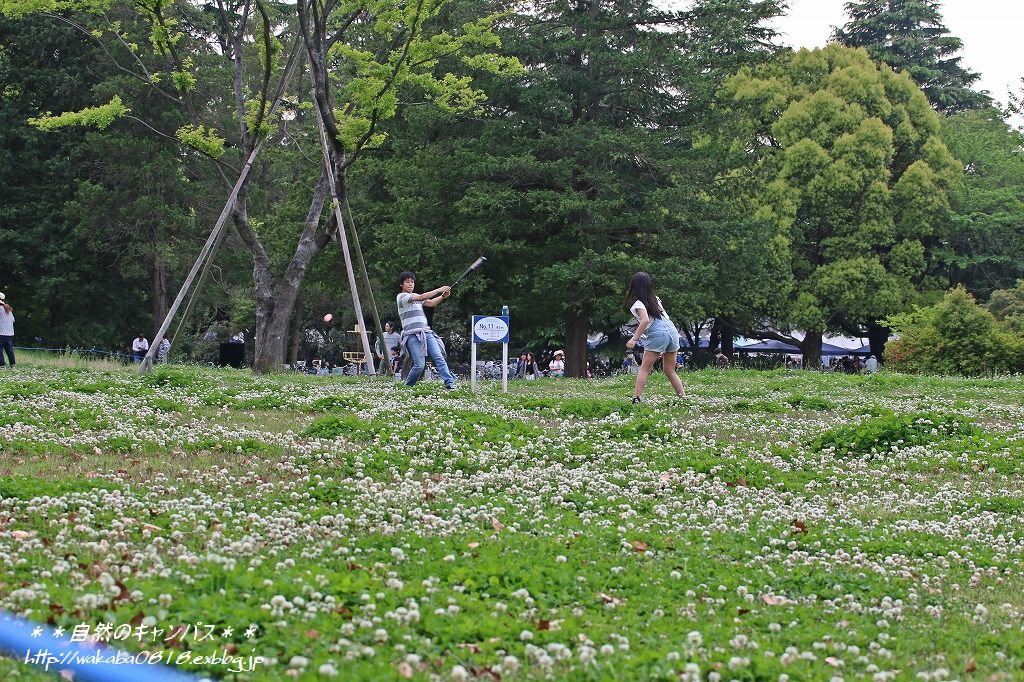 e0052135_17203646.jpg