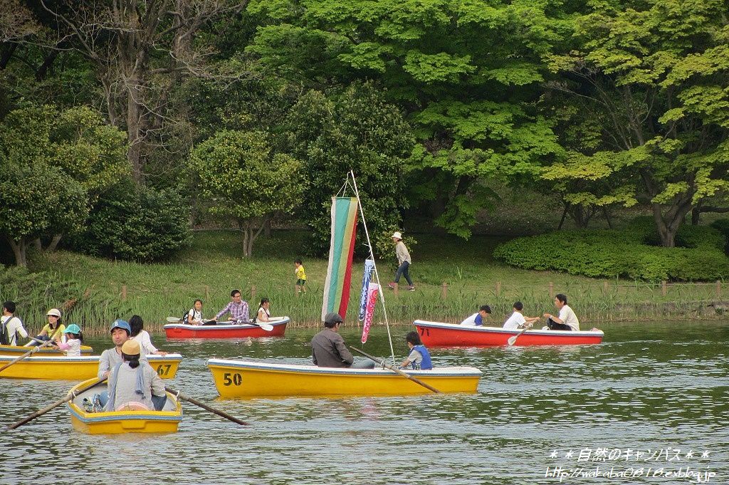 e0052135_17262829.jpg