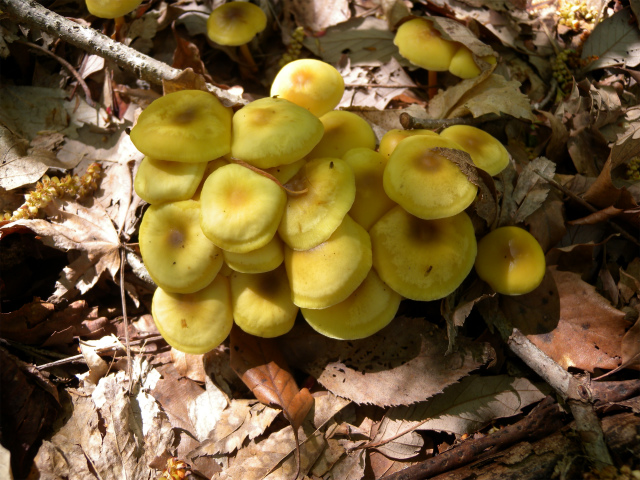 e0272335_10304343.jpg