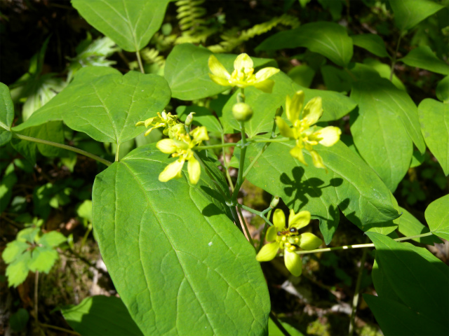 e0272335_10452195.jpg