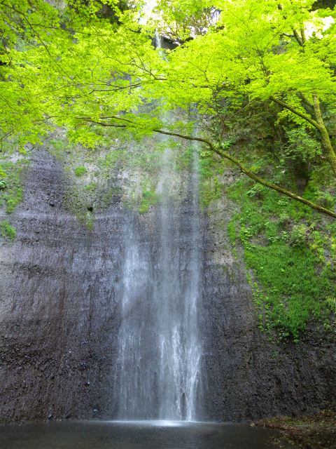 e0272335_11583835.jpg