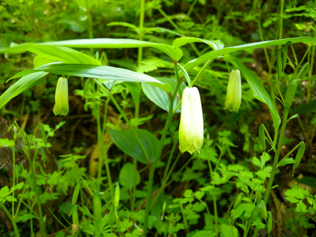 e0272335_1281243.jpg