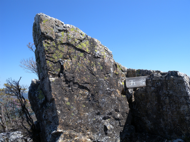 e0272335_1552016.jpg