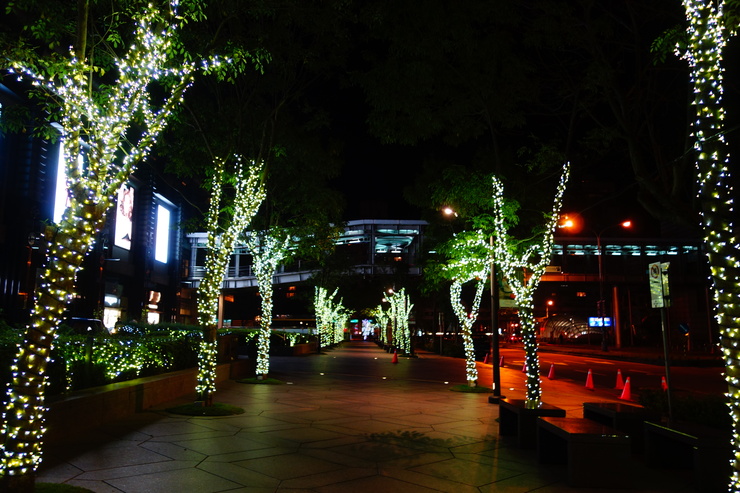 a0287336_2119288.jpg
