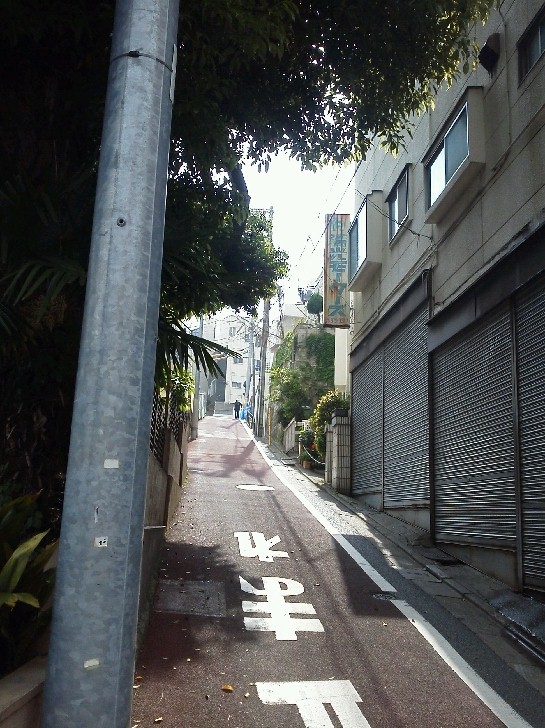 b0031140_209383.jpg