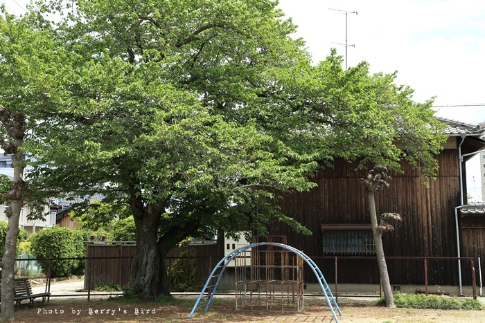 e0173743_21341679.jpg