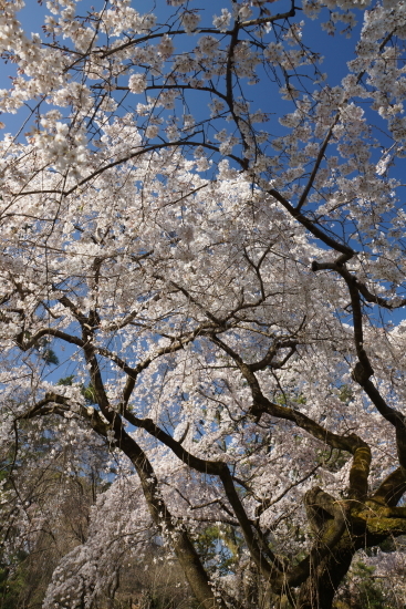c0303246_00142497.jpg