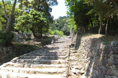 e0041047_05205792.jpg