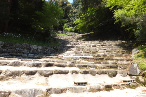 e0041047_05211884.jpg