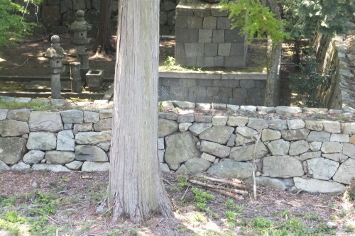 e0041047_05250957.jpg