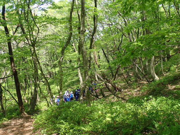 f0214649_3315582.jpg