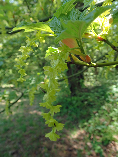 f0214649_3362038.jpg